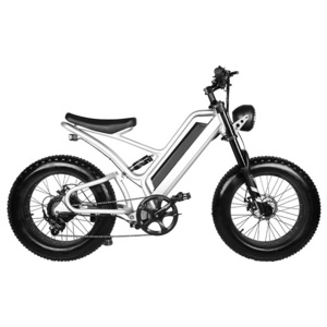 Hot Sale 48v Powerful Chopper Electric Bike 350w For Adults Best Ebike 2023