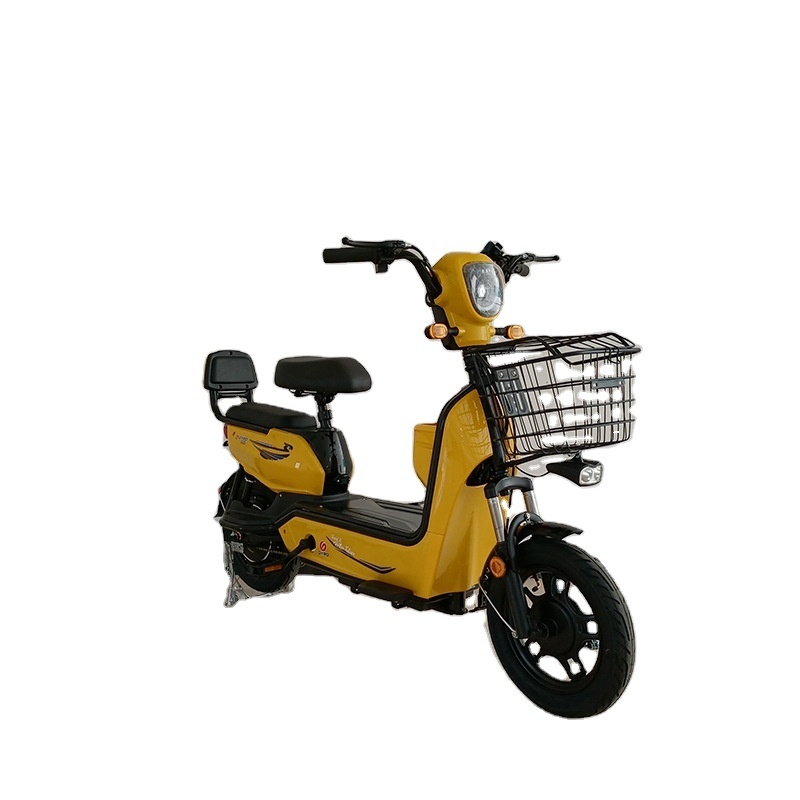 Long Tail Cargo Ebike 500W Rear Drive Motor Custom Carton Box Two Wheel City Food Delivery Electric Cargo Bike Kids 48V Disc 14