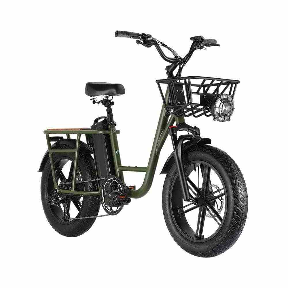 Hot Sale Long Duration Fast Electric Utility Bike Snow Best 48v 1000W Retro Super Power Fat Tire Electric Bike For Sale