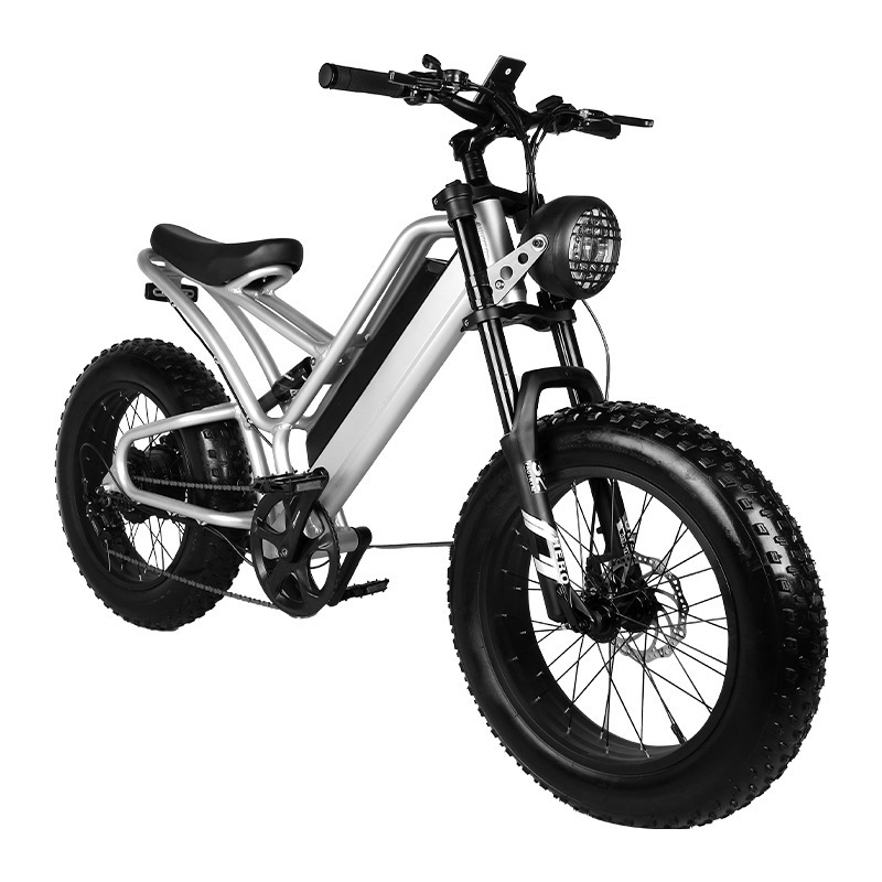 Hot Sale 48v Powerful Chopper Electric Bike 350w For Adults Best Ebike 2023