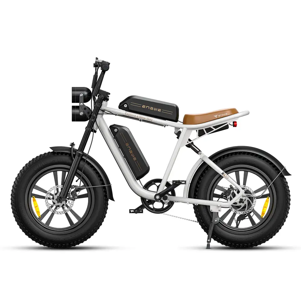 Fat Tire Ebike Engwe M20 Dual Suspension Mountain Bike Custom Carton Box Lithium Battery 26AH 750W Electric Motorcycle 20 Inch