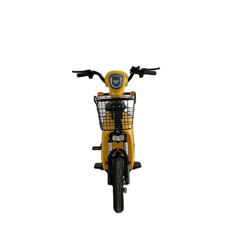 Long Tail Cargo Ebike 500W Rear Drive Motor Custom Carton Box Two Wheel City Food Delivery Electric Cargo Bike Kids 48V Disc 14