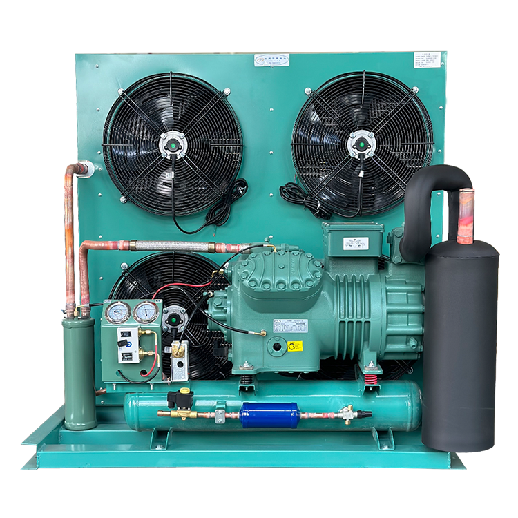 Cooling Compressor Unit Bitzer Compressor Semi-Hermetic Air Cooled Condensing Unit Refrigeration Cold Storage Room