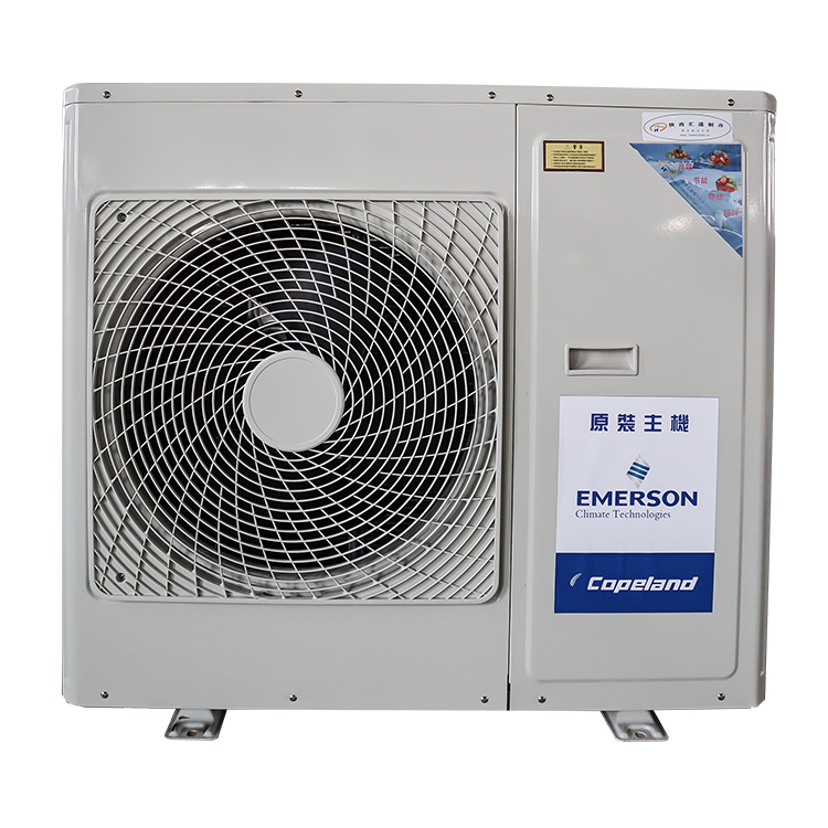 Copeland Compressor Condensing Unit Air Cooled Refrigeration Condensing Unit For Cold Room Chiller