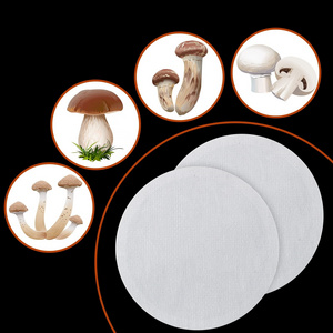 Synthetic filter paper sticker diameter 20 mm filter pan mushroom rubber plug injection port for mushroom cultivation