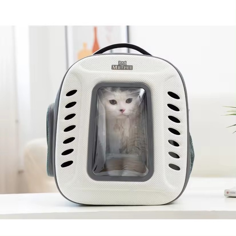 Fashion blue Portable Clear View Trolley Dog Cat House Travel Backpack Pet Carrier