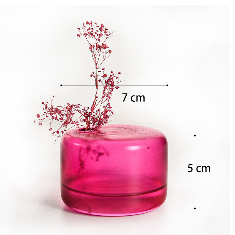 Ins Glass Vase Fireless Aromatherapy Bottle Desktop Ornaments Simple Hydroponic Flower Arrangement Vase