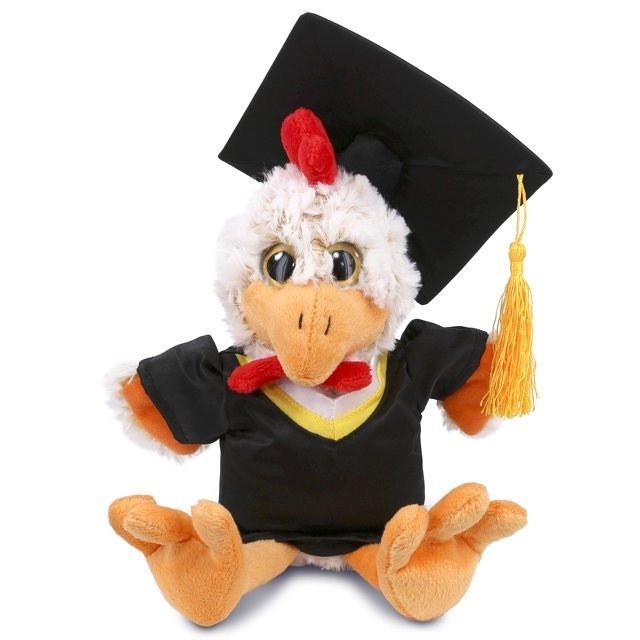 Personalized Text Graduation Sheep Kiwi Owl Stuffed Animal Plush Toys Super Soft Sitting Rooster Teddy Bear Graduation Plush Toy