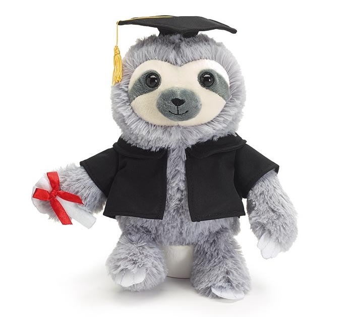 Personalized Text Graduation Sheep Kiwi Owl Stuffed Animal Plush Toys Super Soft Sitting Rooster Teddy Bear Graduation Plush Toy