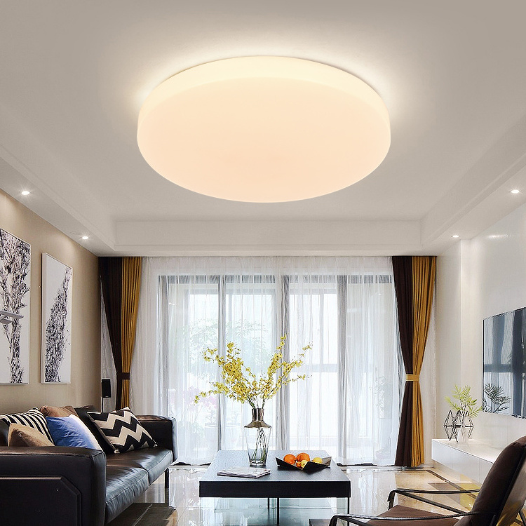 ZEDONG Odm Ceil Lamp 12 18 24 watt House Lighting Modern Decorative Antiglare Family Series Home Led Ceiling Light