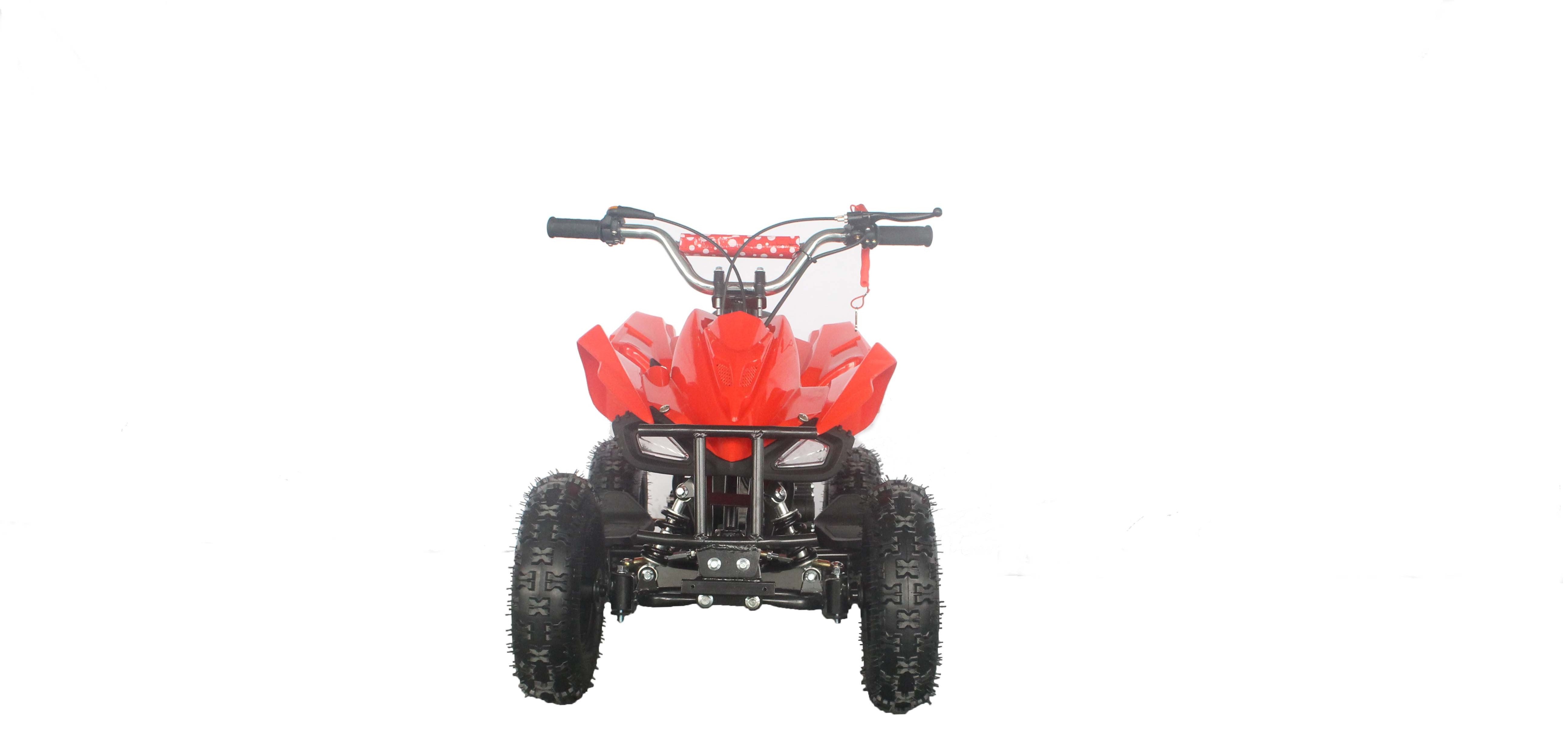 49cc mini ATV quad bike for kids