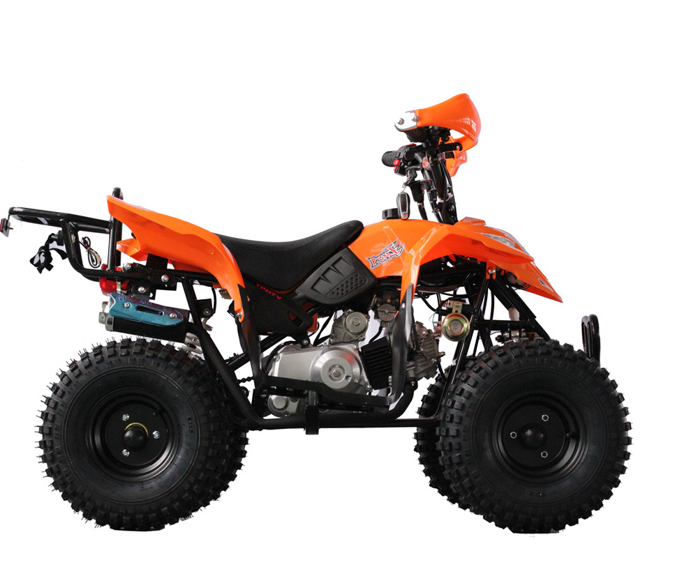 Chinese raptor quad swing arm 110cc atv