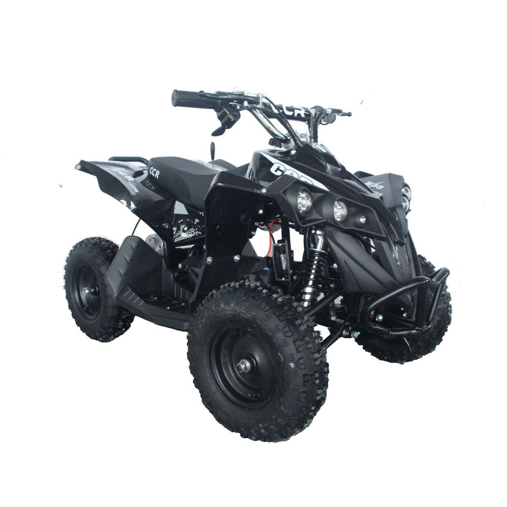 Factory direct sales mini 4 wheeler 800w quad bike electric atv