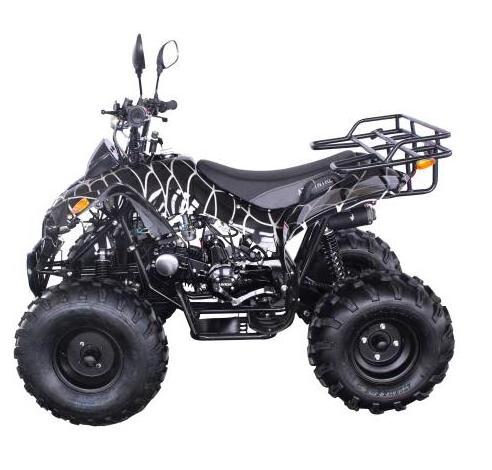 Brand new 4 Wheeler automatic engine 125CC ATV with reverse