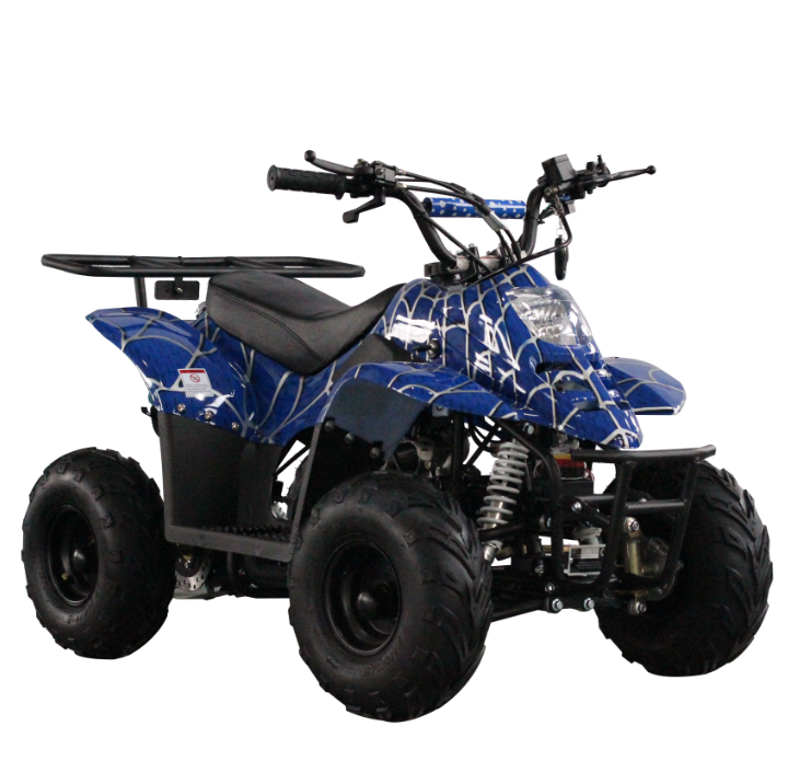 Chain Drive  4 wheel  110cc quad bike for sale