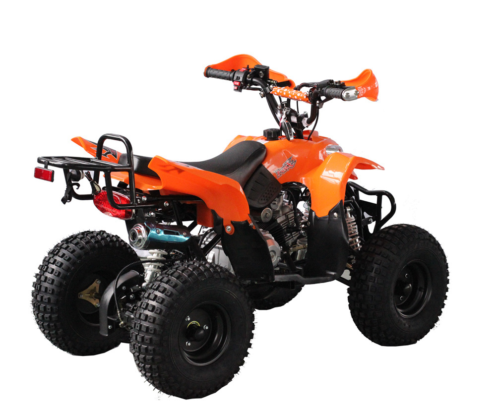 Chinese raptor quad swing arm 110cc atv