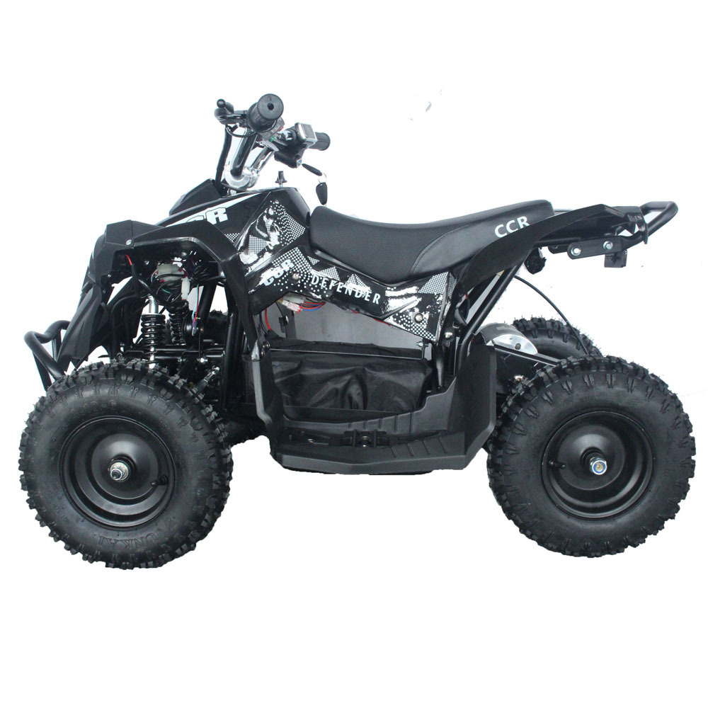 Factory direct sales mini 4 wheeler 800w quad bike electric atv