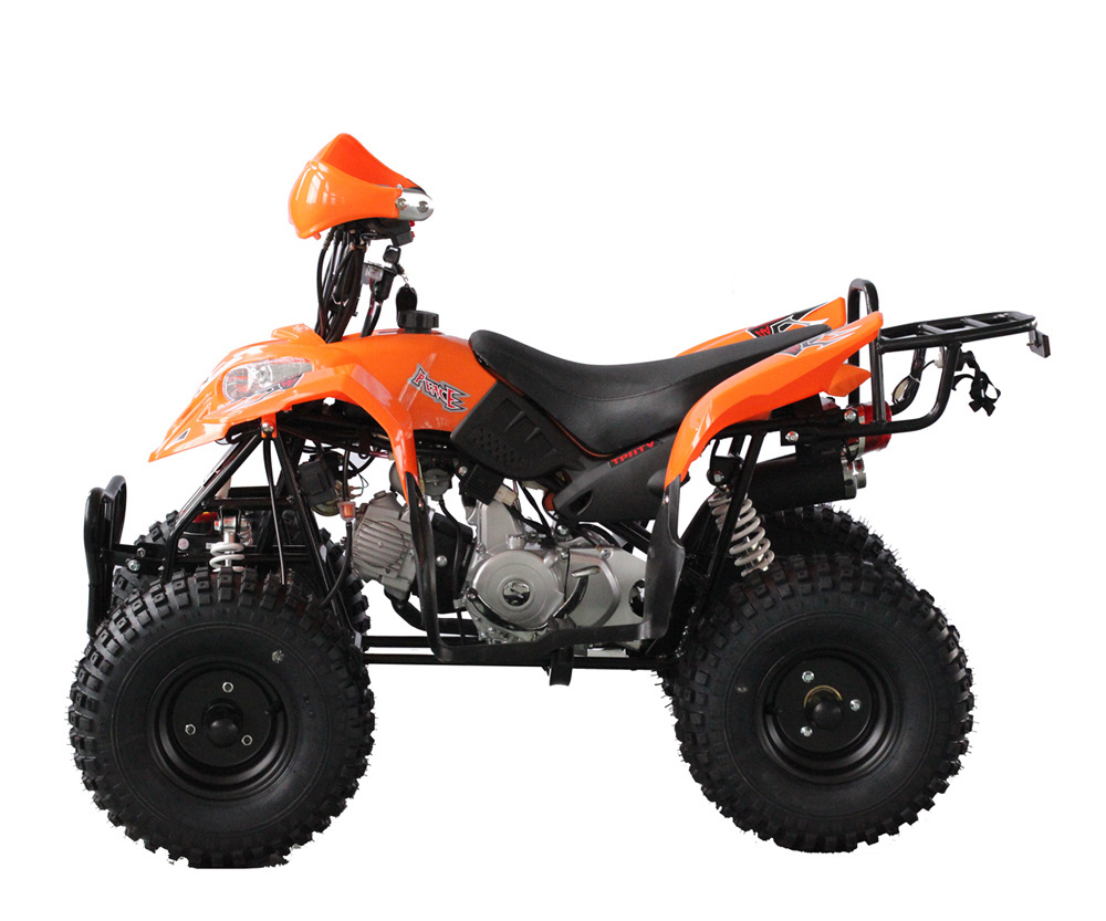 Chinese raptor quad swing arm 110cc atv