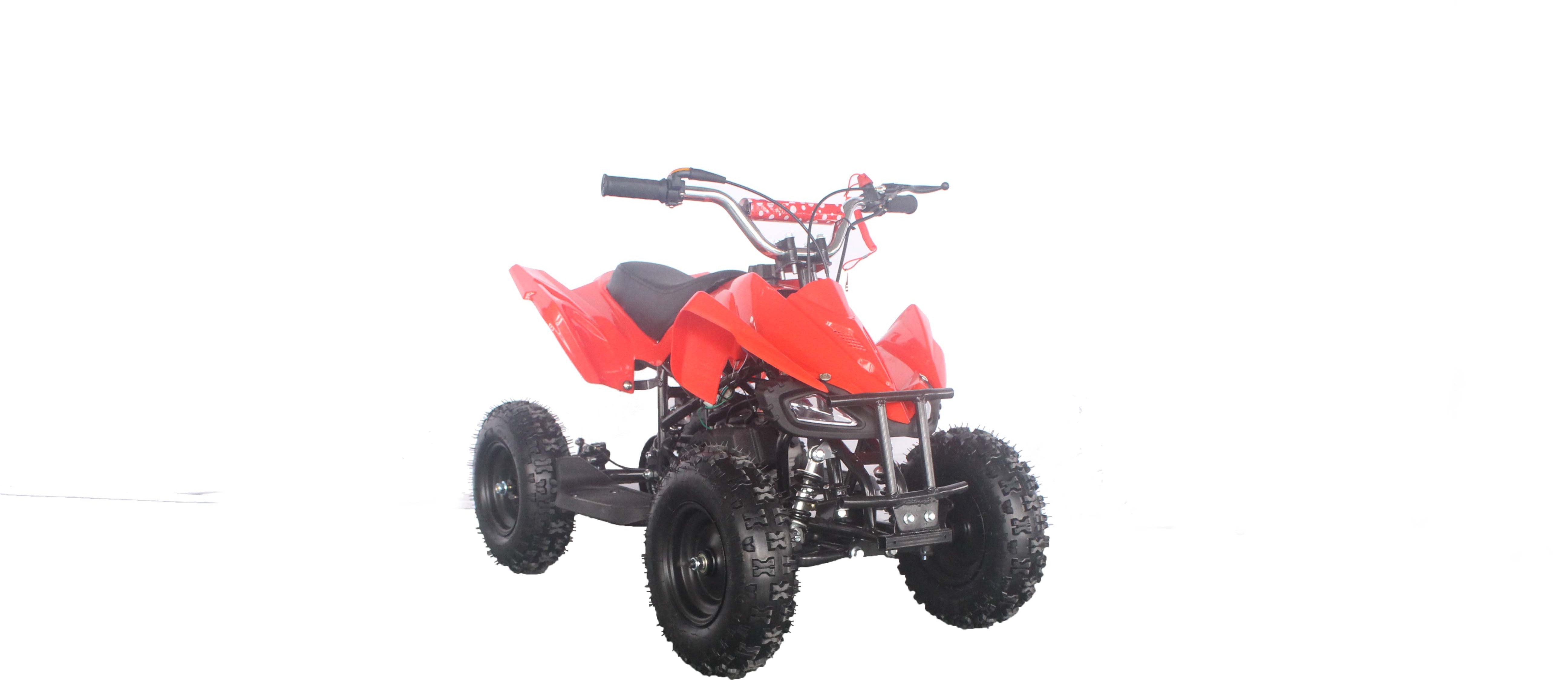 49cc mini ATV quad bike for kids