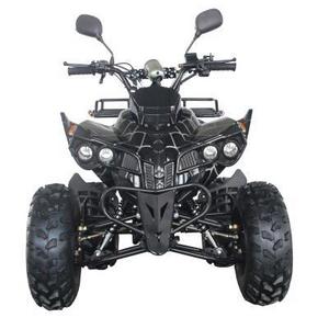 Brand new 4 Wheeler automatic engine 125CC ATV with reverse