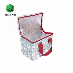 Customized Insulated Foil Bag/ Peva Liner Insulated Cooler Bags/ Insulated Ice Cream Carrier Bag