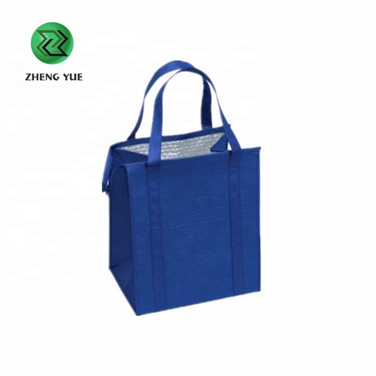 Customized Insulated Foil Bag/ Peva Liner Insulated Cooler Bags/ Insulated Ice Cream Carrier Bag