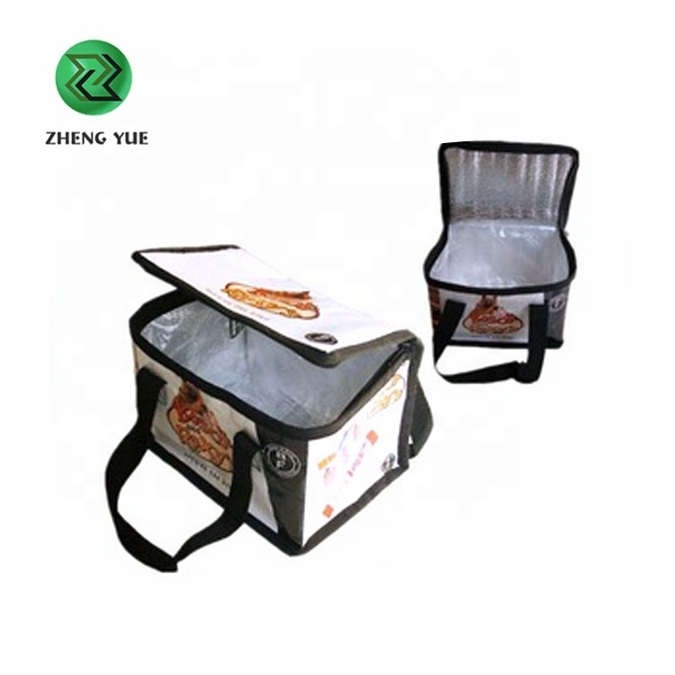 Customized Insulated Foil Bag/ Peva Liner Insulated Cooler Bags/ Insulated Ice Cream Carrier Bag