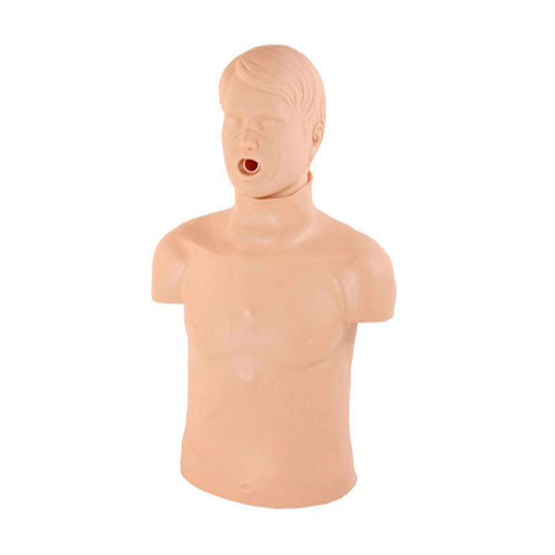 CPR169 Half Body Human Airway Obstruction Cardiopulmonary Resuscitation (CPR) Training Simulator