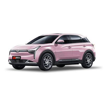 2022 2023 2024 nezha hozon promotion neta u lite 400km 500 400-500km suv green wholesale cheep new energy electric car