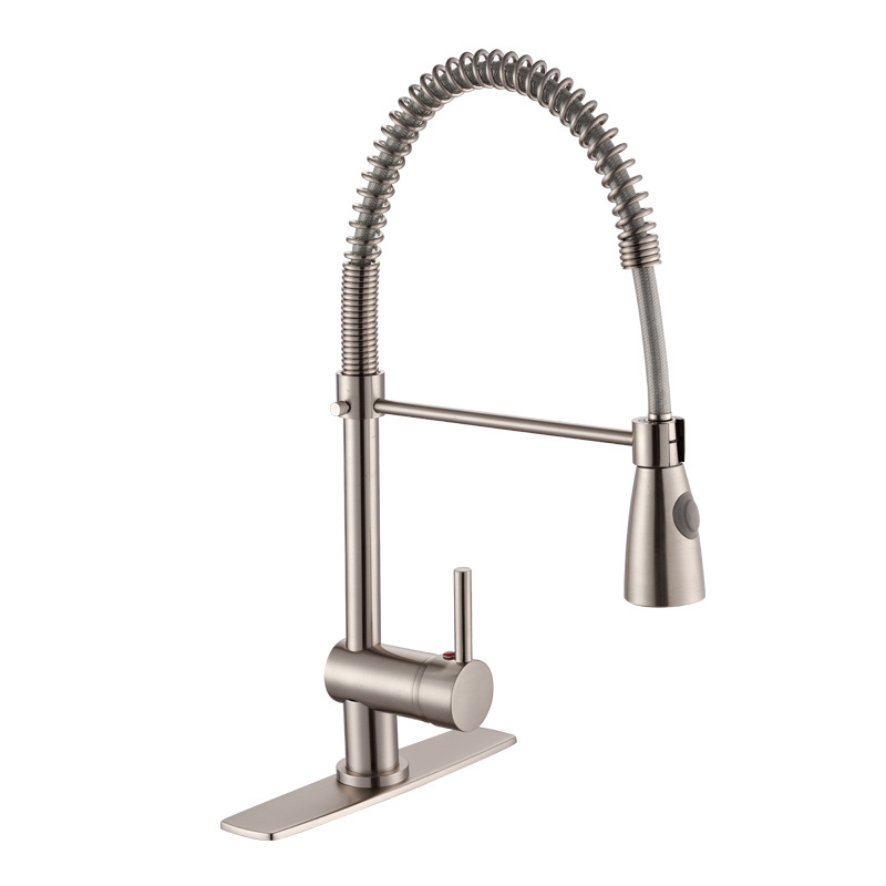 Single Lever Brass Flexible Spring Pull Out Pull Down Spray Kitchen Faucet