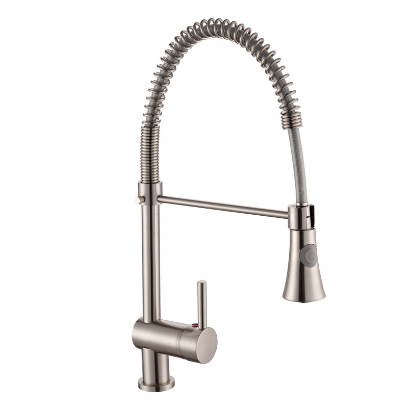 Single Lever Brass Flexible Spring Pull Out Pull Down Spray Kitchen Faucet