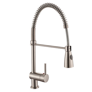 Single Lever Brass Flexible Spring Pull Out Pull Down Spray Kitchen Faucet