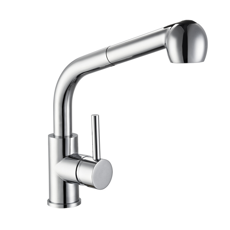 304 Stainless Steel Kitchen Faucet With Pull Down Out Plastic Sprayer