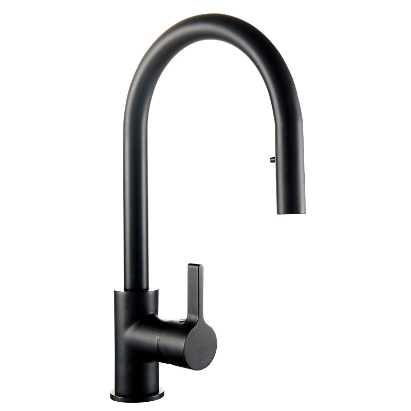 Europe Style SUS 304 Pull Out Kitchen Faucets Stainless Steel Hot Cold Water with Pull Down Sprayer