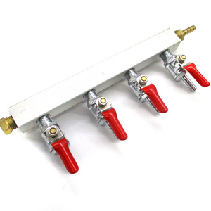 4-way gas manifold with integrated check valves