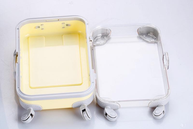 New clear suitcase eyelash packaging box mini lash suitcase bundle suitcase for makeup