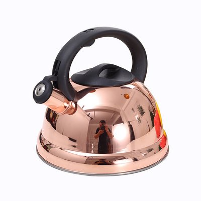 New fashion hot sale stainless steel Tea Kettle Water Kettle Classical Product whistling tea kettle for induction cooker