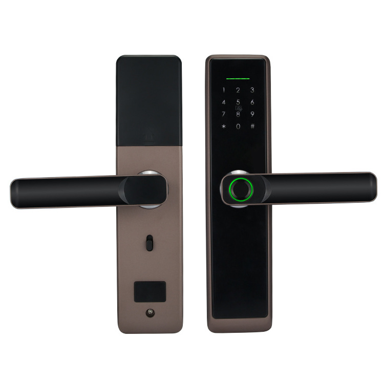 Bilixo Tuya ttlock WiFi zigbee App Smart Door Lock Biometric fingerprint knob main handle Digital Keyless dool entry home locks