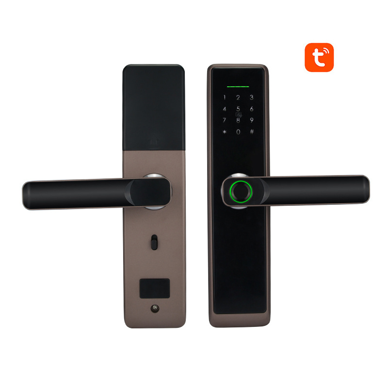 Bilixo Tuya password electric security wifi digital TTlock smart lock doorlock fingerprint BLE outdoor gate door handle locks