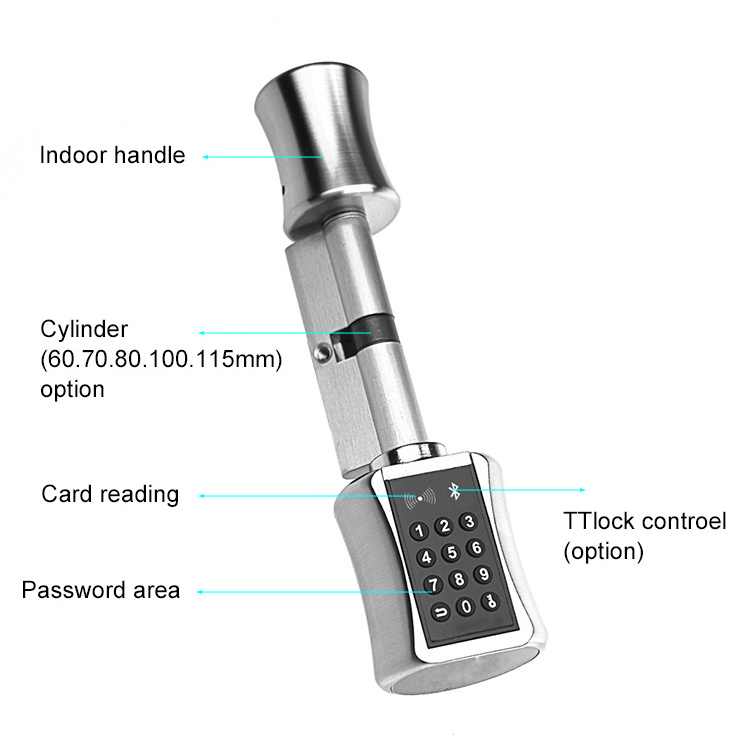 Smart Home electronics TTLock Smart Door Lock Cylinder Electronic with BLE APP Unlock mortise latch doors handle locks & keys