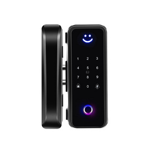 Bilixo ttlock app remote control home locks Electronic smart fingerprint sliding password digital glass for front main door lock