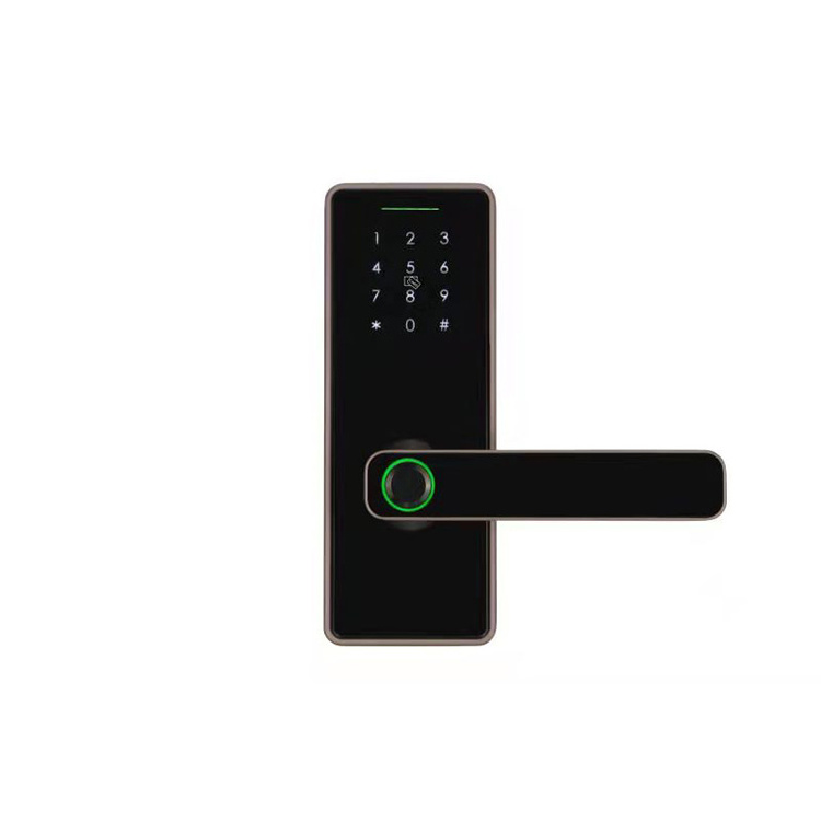 TTlock tuya Fingerprint Locker house Locks with USB Charging Black electric smart lock main door waterproof outdoor gate knob