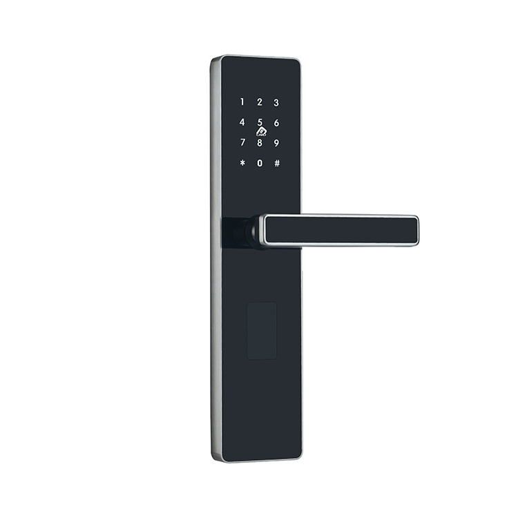 outdoor gate key smart main door lock for home electronics hotel system apartment keyless entry TTlock for  front metal dool