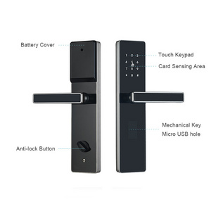 outdoor gate key smart main door lock for home electronics hotel system apartment keyless entry TTlock for  front metal dool