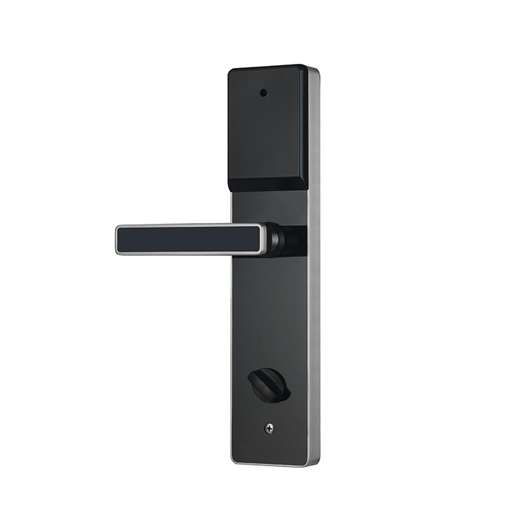 outdoor gate key smart main door lock for home electronics hotel system apartment keyless entry TTlock for  front metal dool