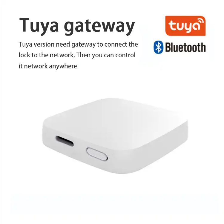 Blue Tooth Tuya Home Hub Alexa Voice Controlled Smart Wifi BLE Wireless Gateway for Curtain Robot Fingerprint Door Lock