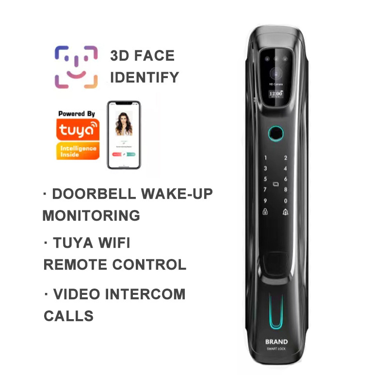 Wholesale Factory Price 3D Face & Fingerprint Recognition Passcode Multi-functional Kedpad Smart Door Lock With Camera