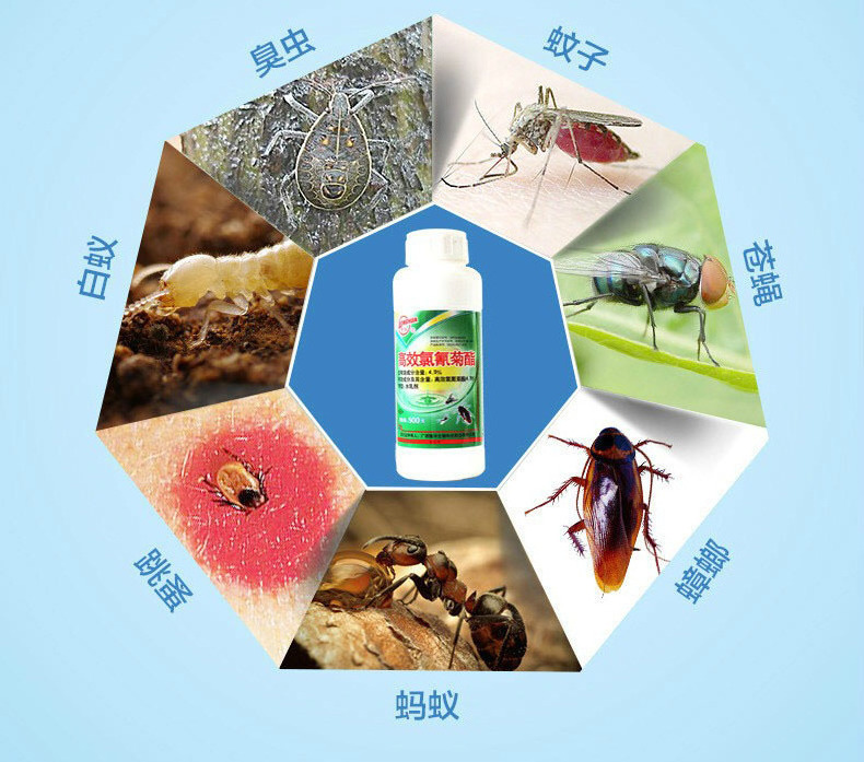 Wholesale Good Price Liquid Insecticide 500ml Best Efficiency Insecticide For Pest Control