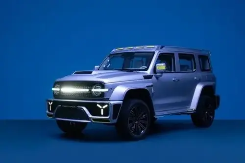 2023 IN STOCK 2023 Great Wall Compact Suv Tank 300 Jeep Suv China Luxury Suv Automatic 2.0t 4wd 5 Seats