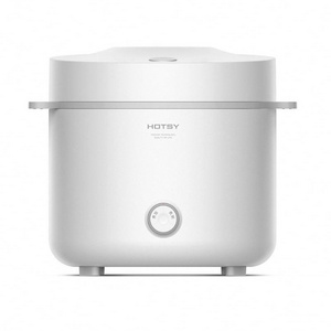 HOTSY rice cooker with wireless rice cooker with steamer portable rice cooker with minimum order quantity of 2